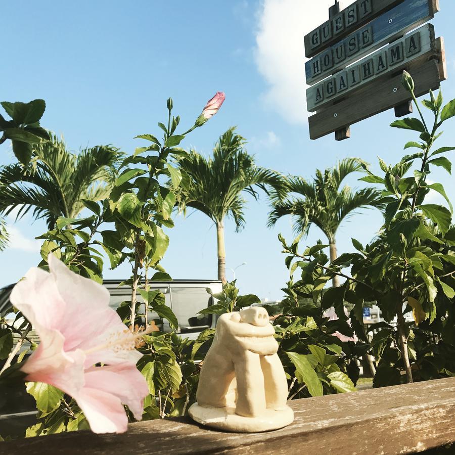 民树库艾盖哈玛酒店 旅馆